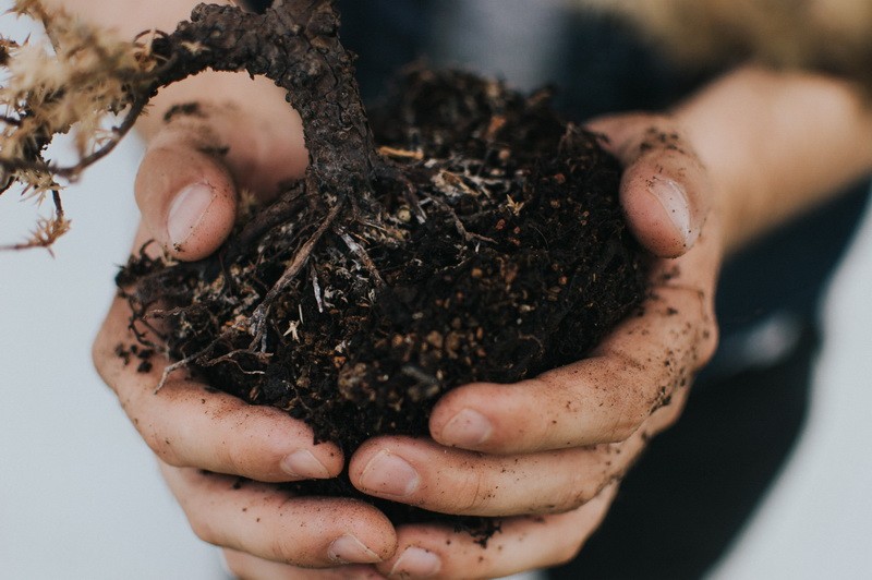 soil, eco-technology park, skyway, yunitskiy, customs, skyway, ecofest 2019, ecofest, ecology